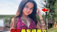 百乐森林舞会攻略-百乐森林舞会，一场自然与艺术的梦幻交织