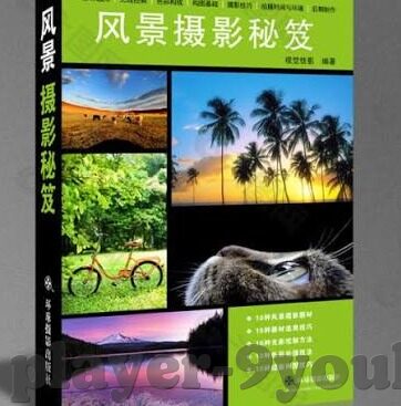 开云全站APP官网-开云全站APP官网，构成用户娱乐与收益的核心平台
